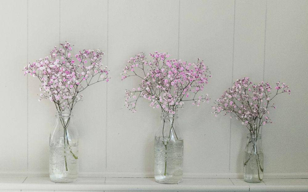 ilustrasi baby breath (unsplash.com/Debby Hudson)