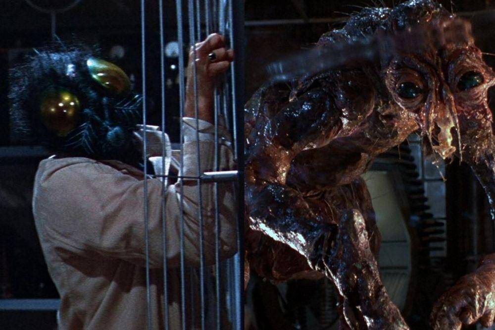 adegan dalam film The Fly (dok. 20th Century Fox/The Fly)