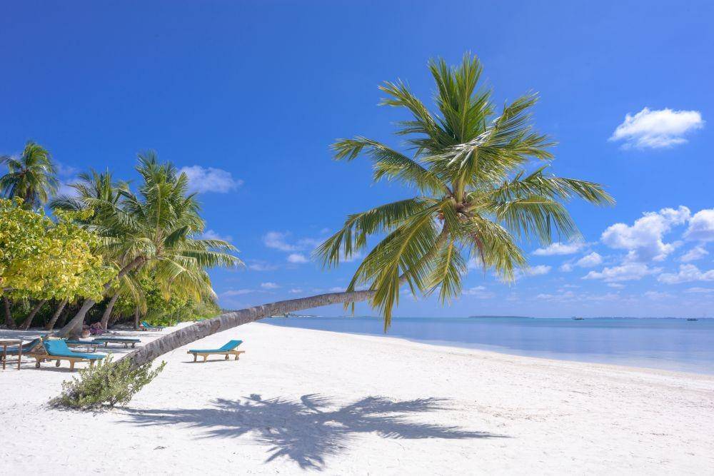 ilustrasi alam (pexels.com/Asad Photo Maldives)