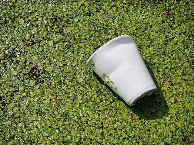 ilustrasi biodegradable (pixabay.com/Andrew Martin)