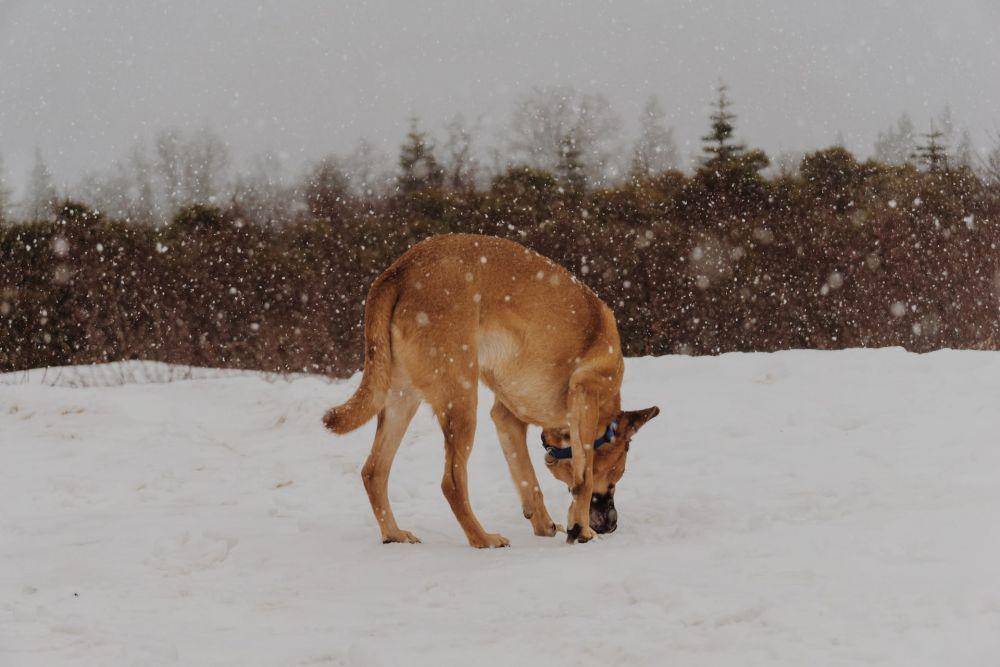 Unsplash/Wil Stewart