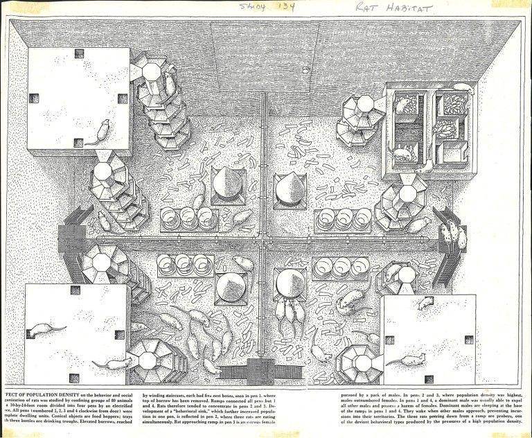 ilustrasi kandang Universe 25 (gwern.net/John B. Calhoun dalam "Population Density and Social Pathology")