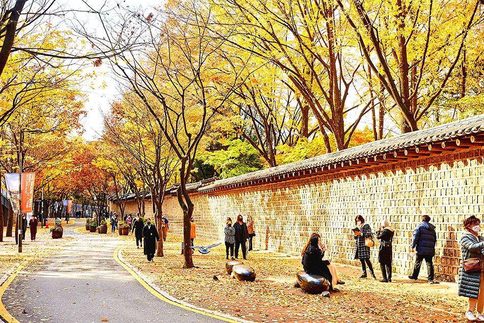 Deoksugung Palace's Stone Wall Path (english.visitkorea.or.kr)