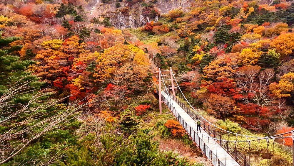 12 Destinasi Wisata Musim Gugur di Korea Selatan