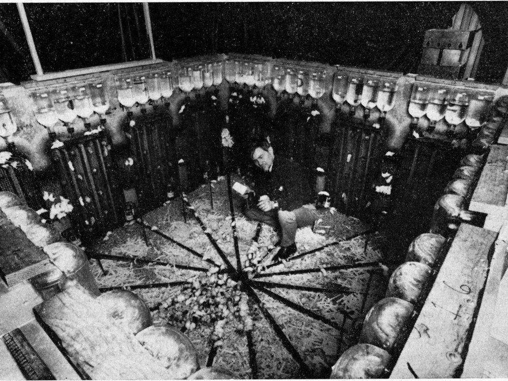Eksperimen Universe 25 (ncbi.nlm.nih.gov/Yoichi R Okamoto dalam "Death Squared: The Explosive Growth and Demise of a Mouse Population")