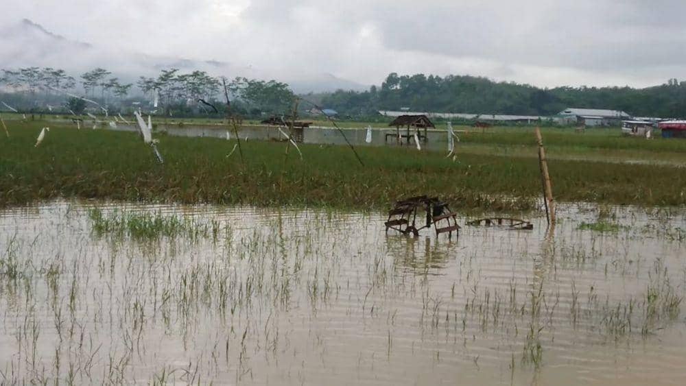 Banjir genangi area sawah warga di Tulungagung. IDN Times/ Bramanta Pamungkas