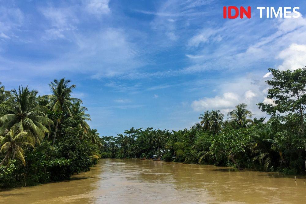 Kondisi mangrove di kawasan Desa Tapak Kuda, Kecamatan Tanjung Pura, Kabupaten Langkat, Sumatra Utara. (IDN Times/Prayugo Utomo)