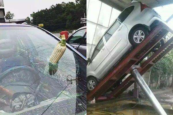 15 Potret Apes Dialami Pengendara Mobil, Kapok Banget deh!