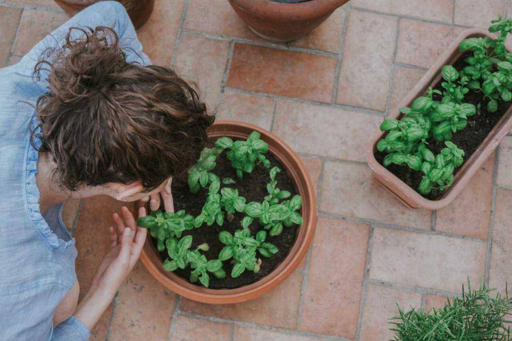 ilustrasi berkebun (pexels.com/Matteo Badini)
