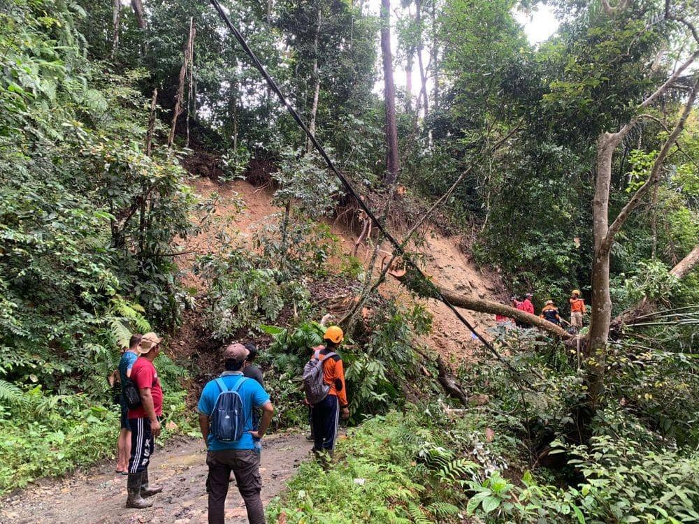 Tanah longsor dan pohon tumbang di Banyuwangi. (Pusdalops BPBD Banyuwangi)