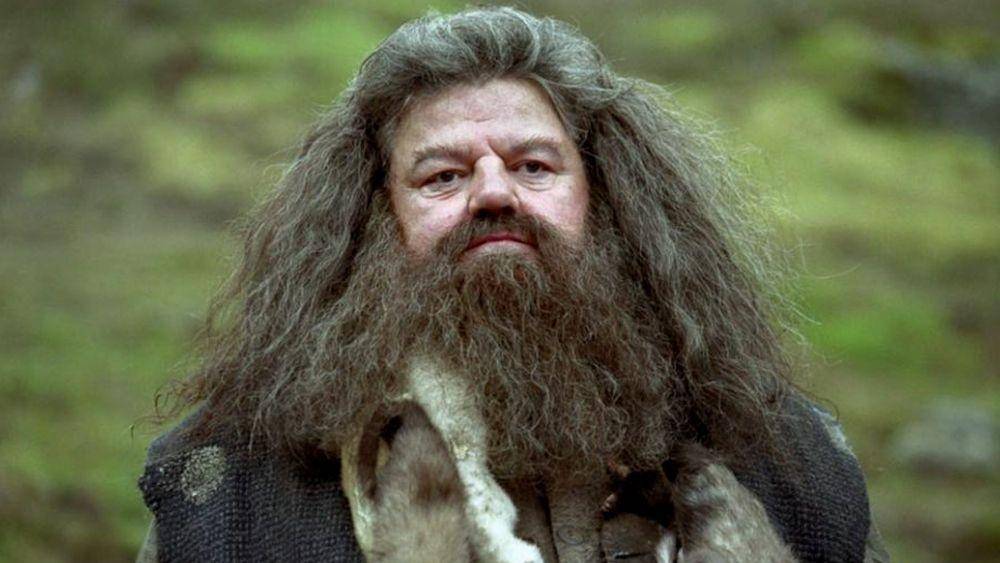 dok. Warner Bros/Harry Potter