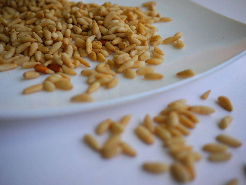 ilustrasi kacang pinus atau pine nuts (unsplash.com/Leila Issa)