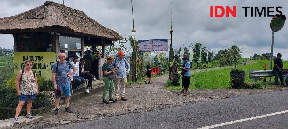 JWC Dongkrak Kunjungan Wisatawan di Jatiluwih Tabanan