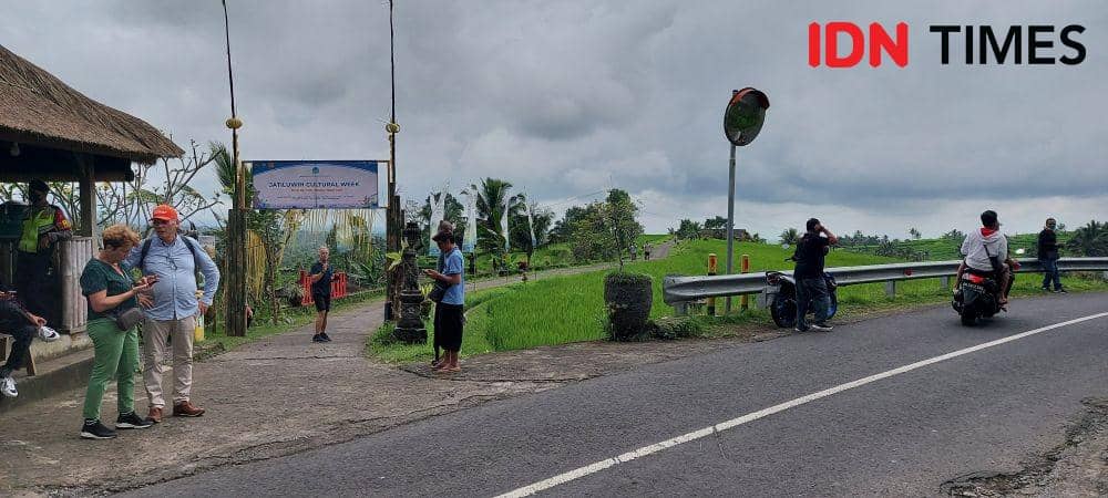 Suasana DTW Jatiluwih saat perhelatan JWC berlangsung (IDN Times/Wira Sanjiwani)