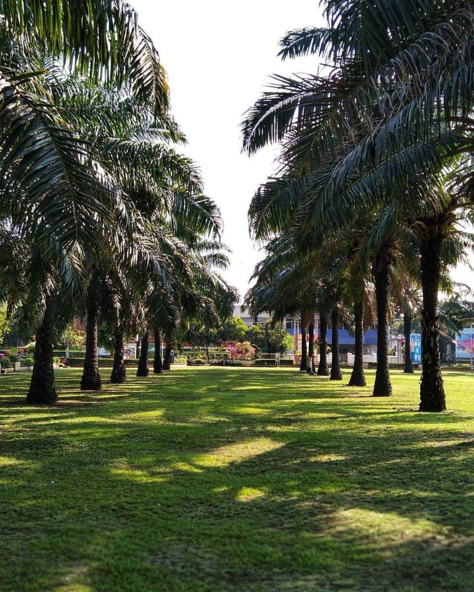 Alun-alun Madiun. (instagram.com/area.madiun)