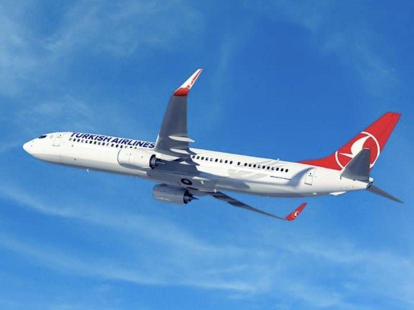 Hewan Peliharaan Jadi Penyebab Keributan di Pesawat Turkish Airlines