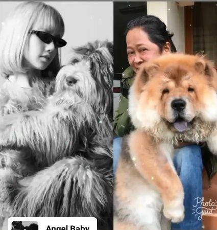 Suti Karno ngefans BLACKPINK (instagram.com/sutykarno)