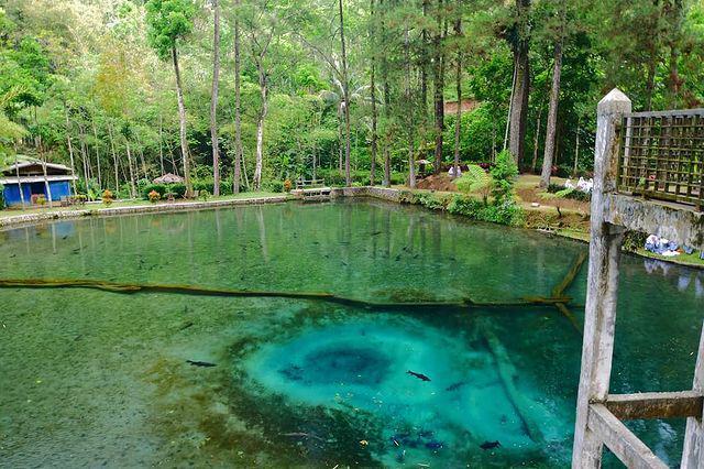 10 Potret Telaga Rambut Monte, Destinasi Wisata Populer di Blitar