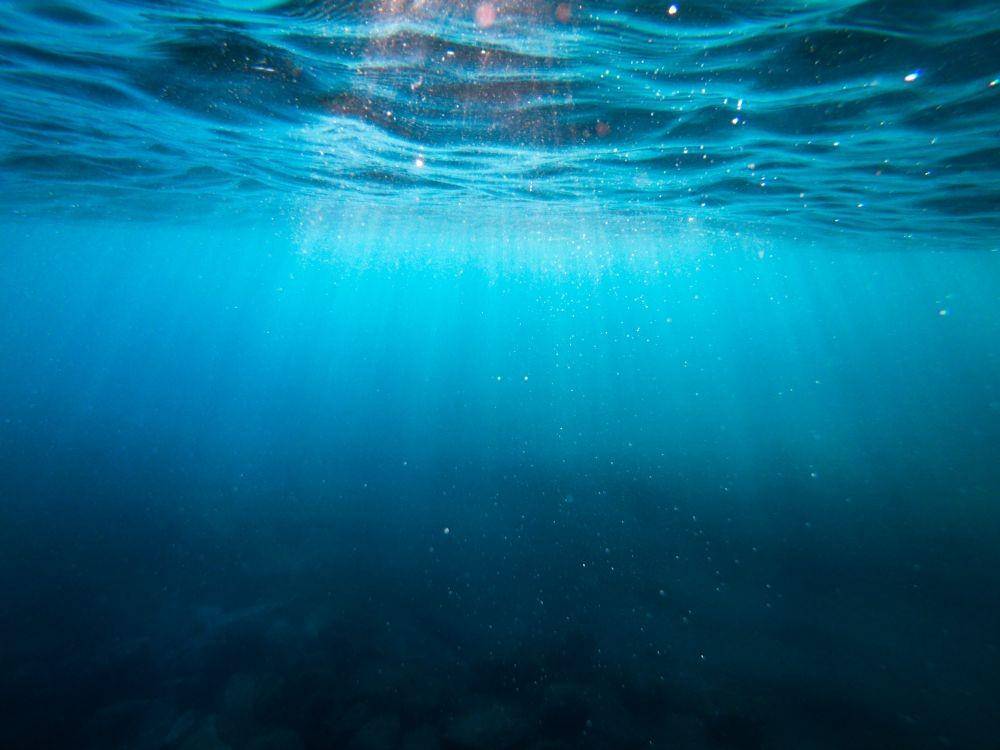 ilustrasi laut dalam (unsplash.com/Cristian Palmer)