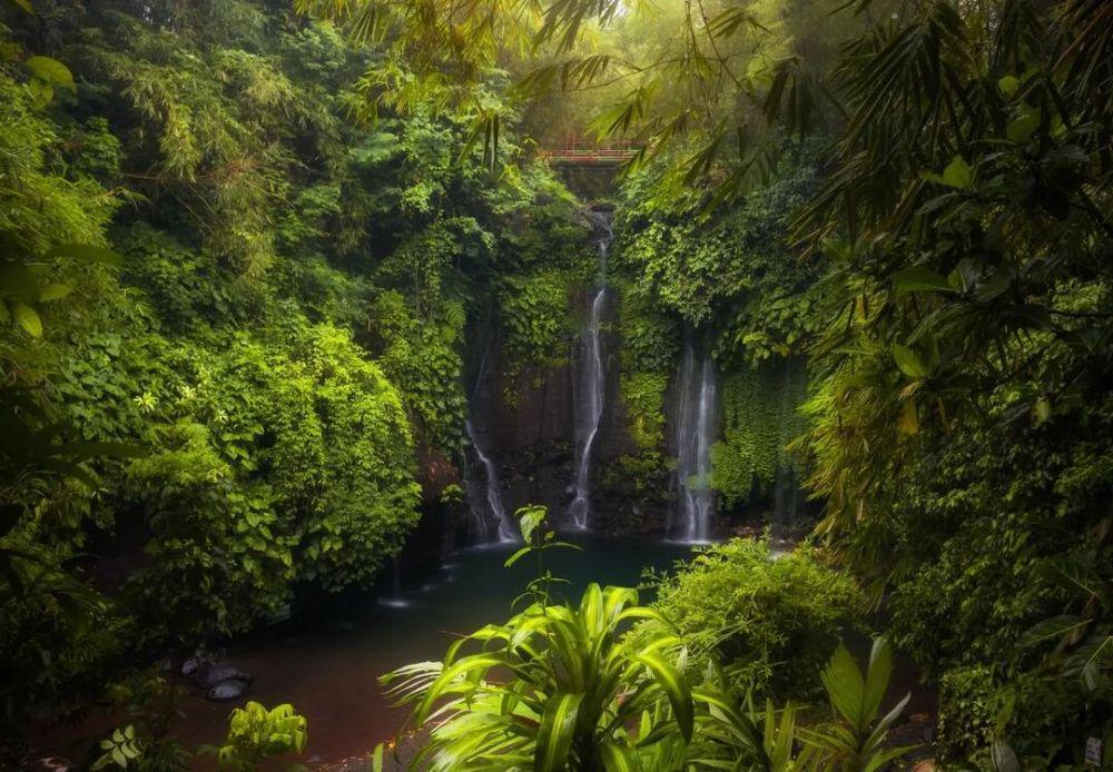 10 Potret Curug Sibedil, Air Terjun Tersembunyi di Gunung Slamet