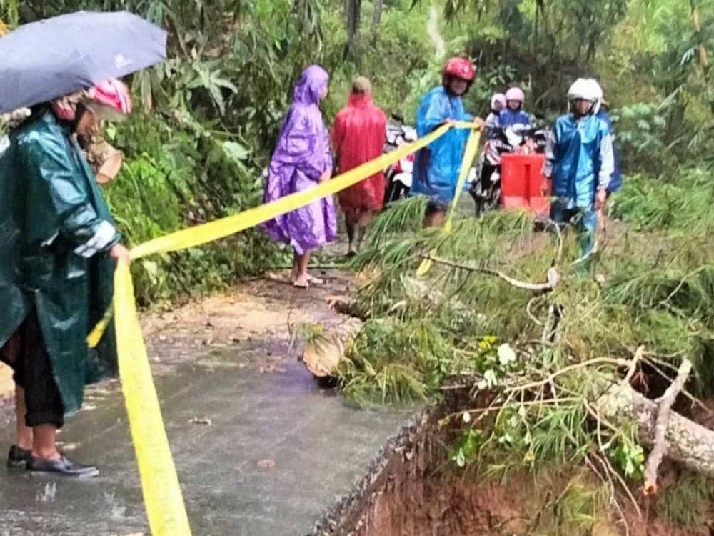 Hujan, 15 Desa di Trenggalek Longsor