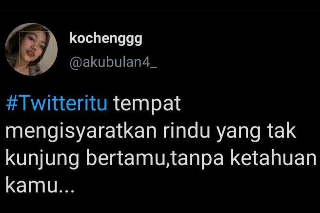 10 Alasan Warganet Menggunakan Twitter, Jawabannya Nyeleneh tapi Lucu!