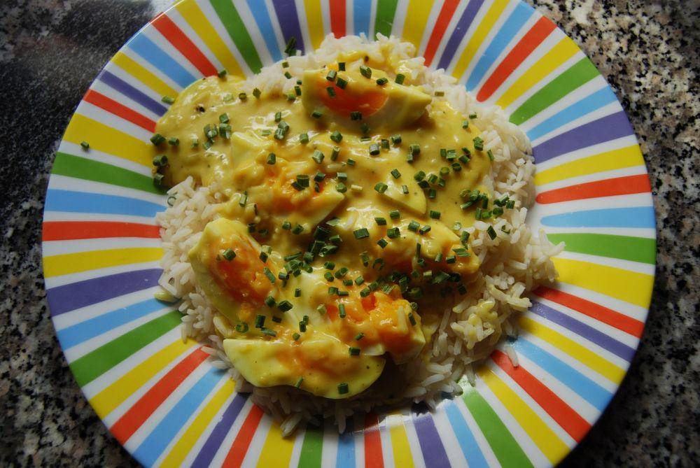 ilustrasi nasi telur mozarella (pixabay.com/Rainer Grasberger)