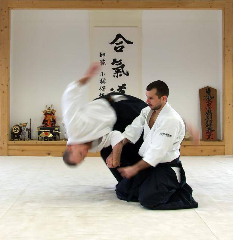 potret Aikidoka yang sedang mengaplikasikan teknik shihonage hanmi handachi waza (Magyar Balázs, CC BY-SA 3.0, via Wikimedia Commons)
