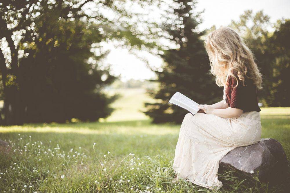 Ilustrasi orang membaca novel (pixabay.com/pexels)