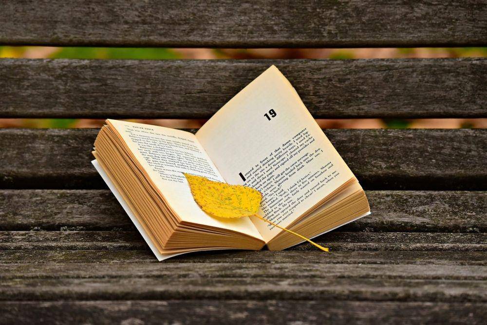 Ilustrasi sebuah novel (pixabay.com/MabelAmber)