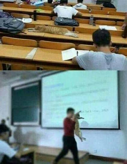 hal tak terduga di dalam kelas (1cak.com/fitra85)