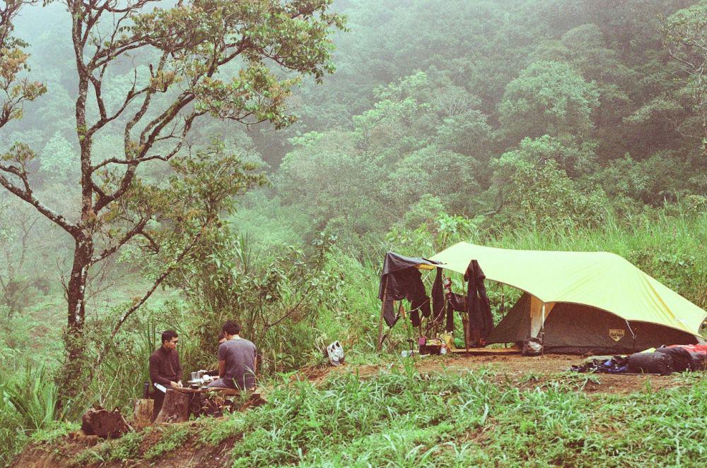 Harus Dicatat! 5 Larangan saat Berkemah di Tengah Hutan