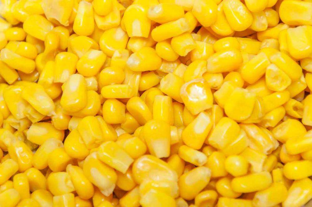 ilustrasi biji jagung (freepik.com/4045)