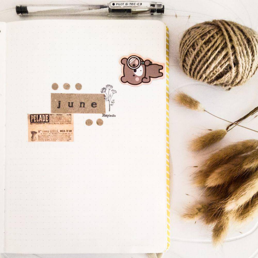 inspirasi scrapbook estetik (pexels.com/Gypsophila Craig )