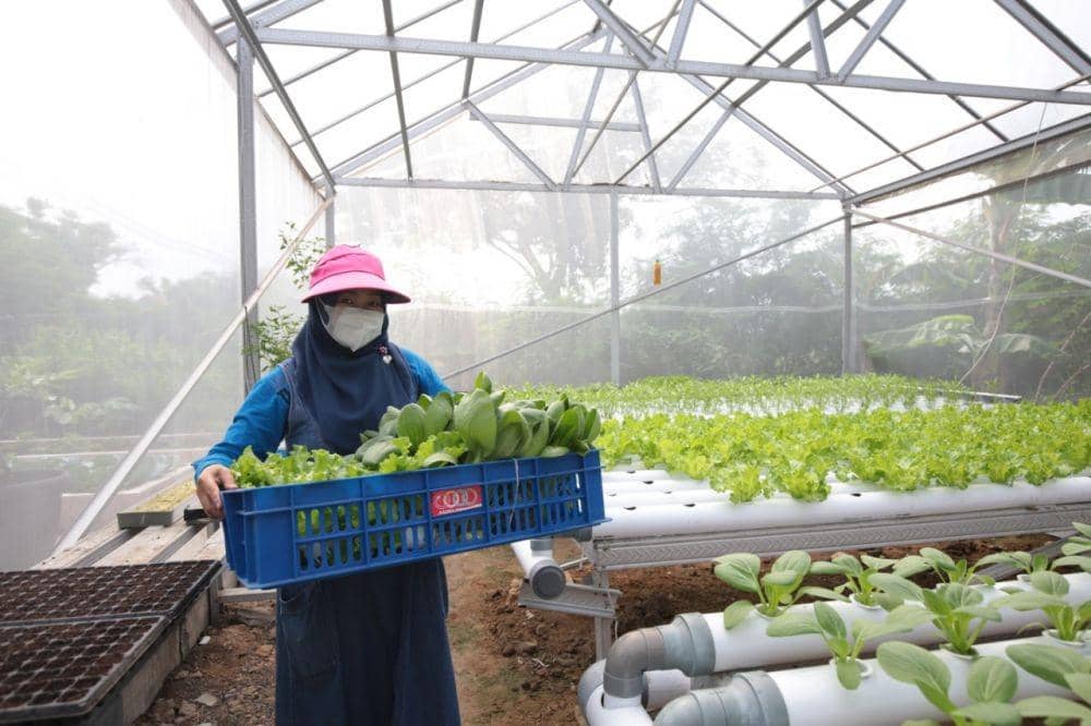 Kota Surabaya berhasil meraih penghargaan Peduli Ketahanan Pangan 2022 dalam kategori Bidang Pemanfaatan Ruang Terbuka Hijau (RTH) dari Pemerintah Provinsi Jawa Timur (Jatim). (Dok. Pemkot Surabaya)