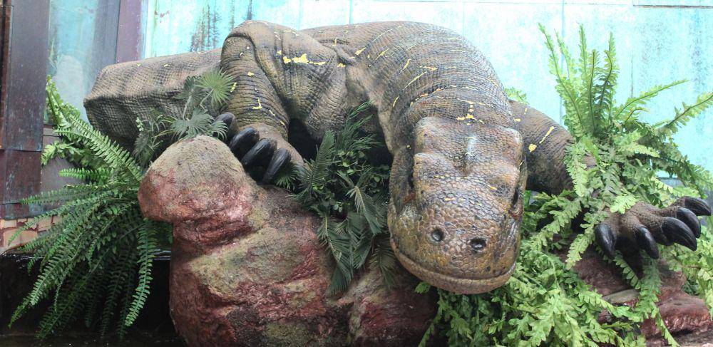 model dari reptil raksasa purba bernama Varanus priscus (flickr.com/Arthur Chapman)