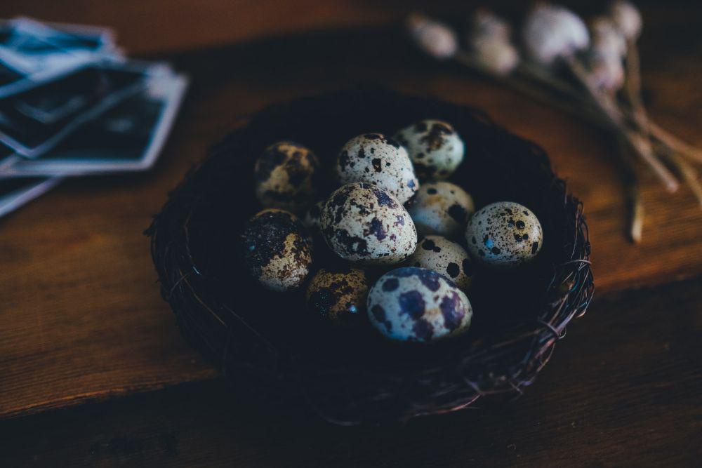 5 Tips Merebus Telur Puyuh supaya Mudah Dikupas