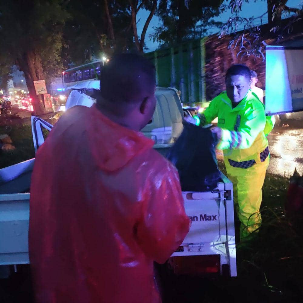 Kondisi mobil korban yang tertimpa pohon. IDN Times/ istimewa