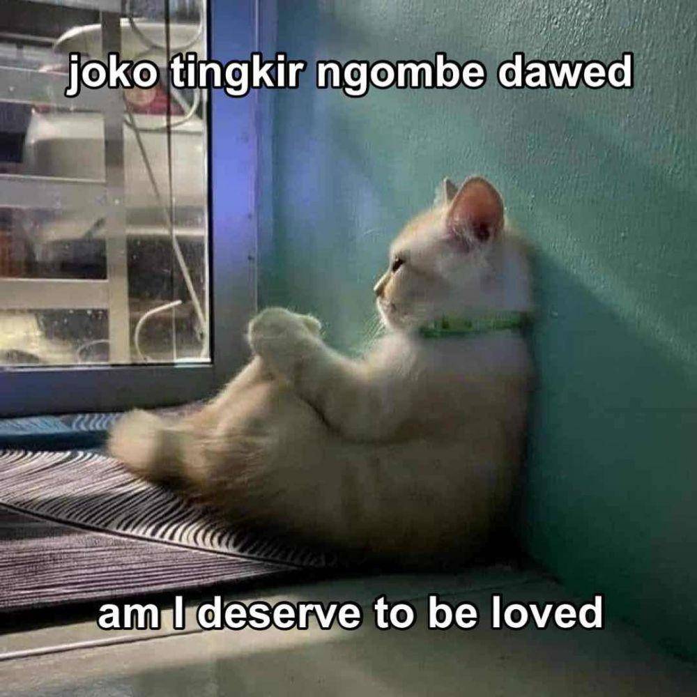 meme gombalan pakai bahasa Inggris (twitter.com/dnsover)