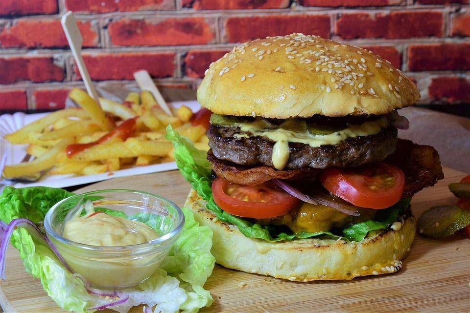 Ilustrasi burger (pixabay.com/ritae)