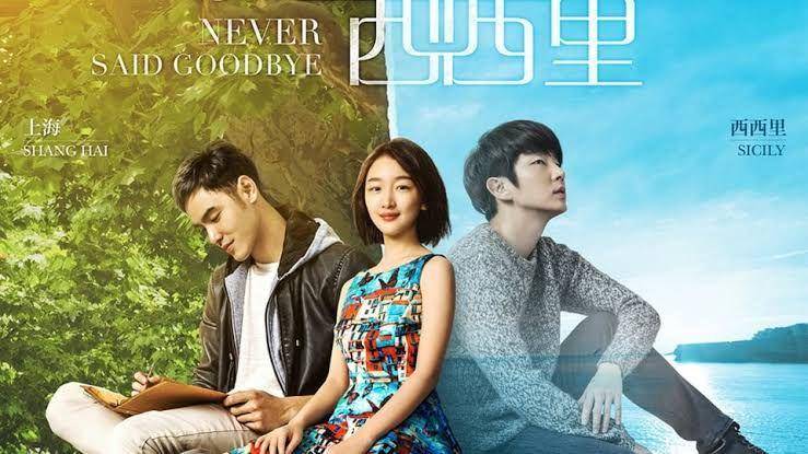 poster film Never Said Goodbye (dok. Phoenix Legend Films/Never Said Goodbye)