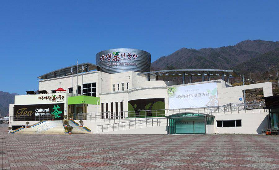 Hadong Tea Museum (hadong.go.kr)