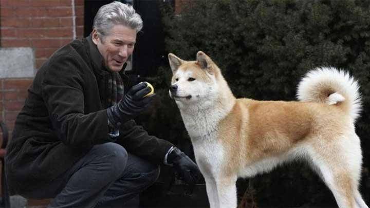 Film Keluarga Terbaik - Hachiko: A Dog Story