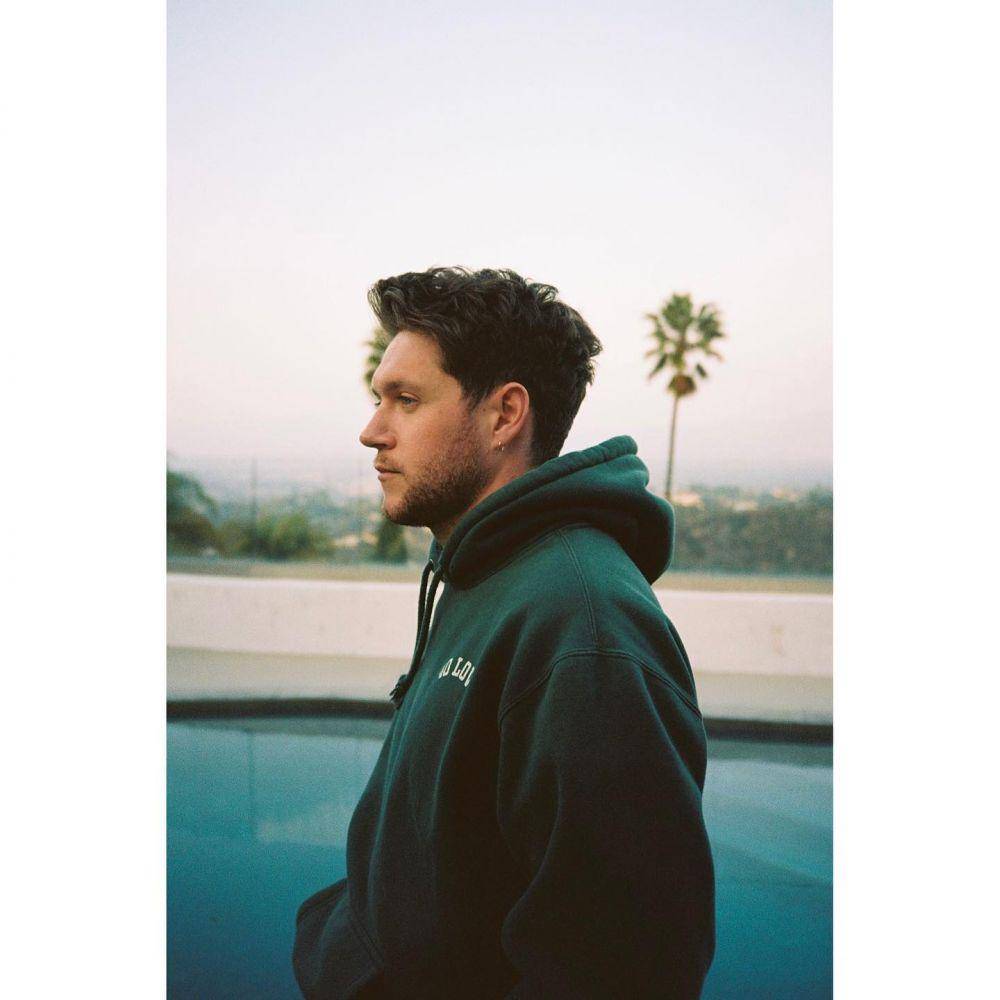 Niall Horan (instagram.com/niallhoran)
