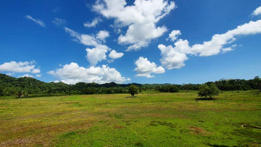 9 Pesona Eksotis Savana Sadengan, Miniatur Afrika di Banyuwangi