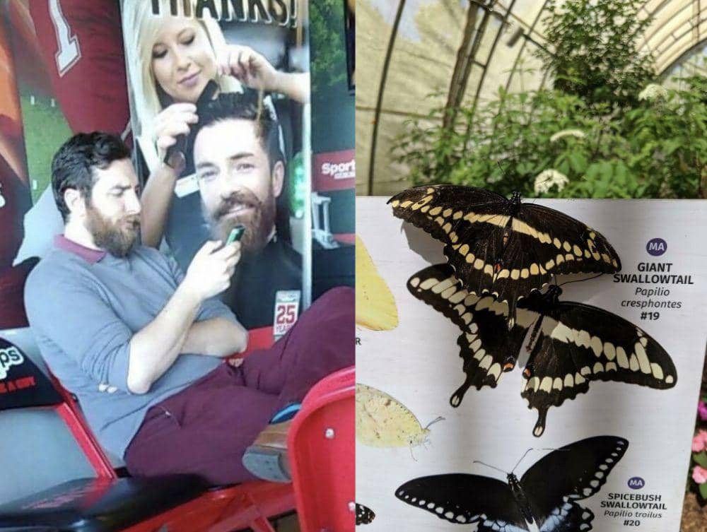 10 Momen Lucu Orang dan Hewan Mirip Gambar di Sebelah Mereka