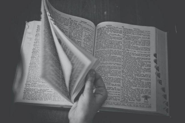 ilustrasi kamus (pexels.com/Snapwire)
