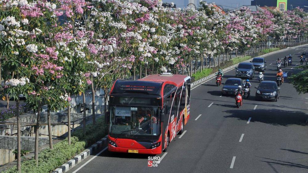 5 Tips Keliling Kota Menggunakan Suroboyo Bus untuk Pemula