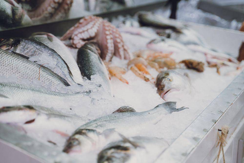 ilustrasi ikan (pexels.com/Bert Christiaens)