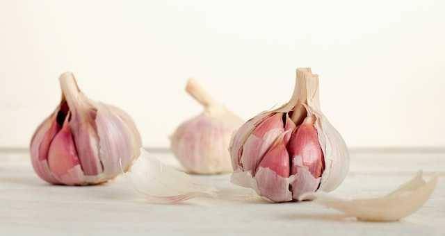 khasiat kulit bawang putih (unsplash.com/@asthetik)